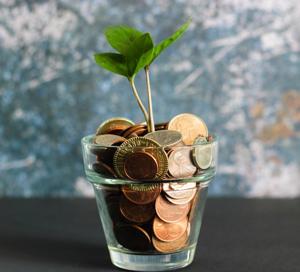 Small plant with coins as soil